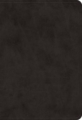 ESV Large Print Value Compact Bible (Trutone, Black)
