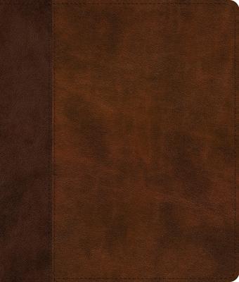 ESV Journaling Bible (Trutone, Brown/Tan, Timeless Design) Subscription