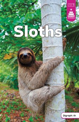 Sloths Subscription