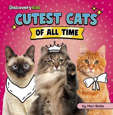 Cutest Cats of All Time Subscription
