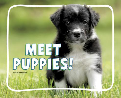 Meet Puppies! Subscription