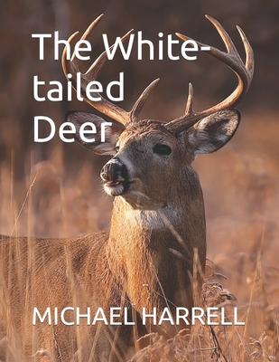 The White-tailed Deer