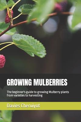 Growing Mulberries: The beginner's guide to growing Mulberry plants from varieties to harvesting