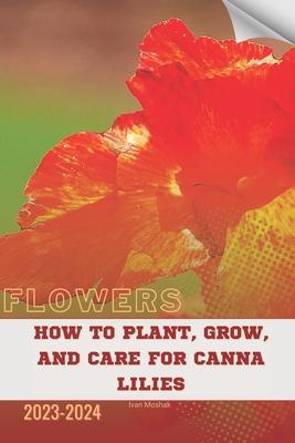 How to Plant, Grow, and Care for Canna Lilies: Become flowers expert