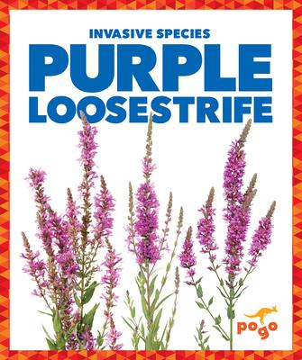 Purple Loosestrife