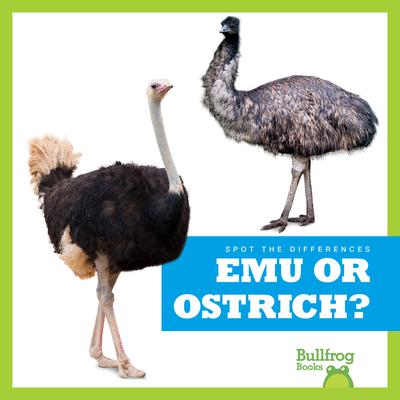 Emu or Ostrich?