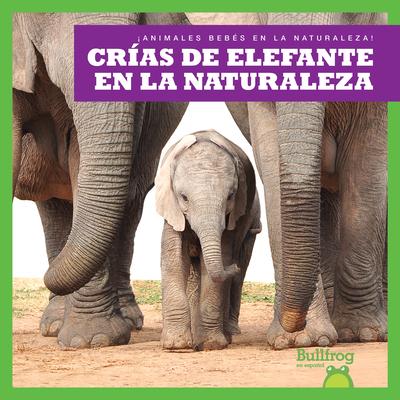 Cras de Elefante En La Naturaleza (Elephant Calves in the Wild)