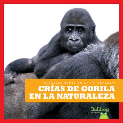 Cras de Gorila En La Naturaleza (Gorilla Infants in the Wild)