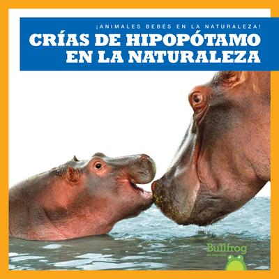 Cras de Hipoptamo En La Naturaleza (Hippopotamus Calves in the Wild)