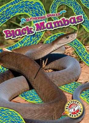 Black Mambas