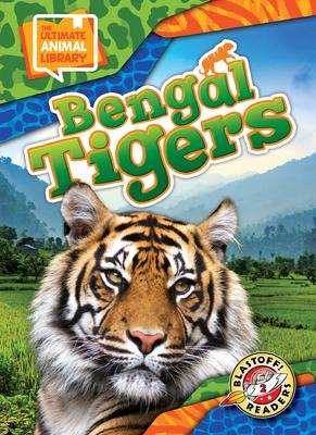 Bengal Tigers