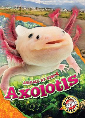 Axolotls