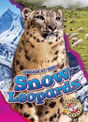 Snow Leopards