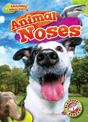 Animal Noses