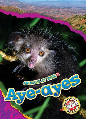 Aye-Ayes