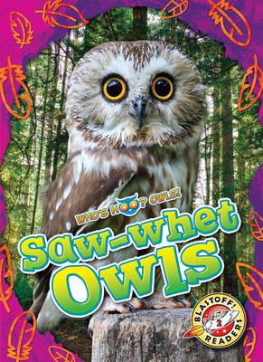 Saw-Whet Owls