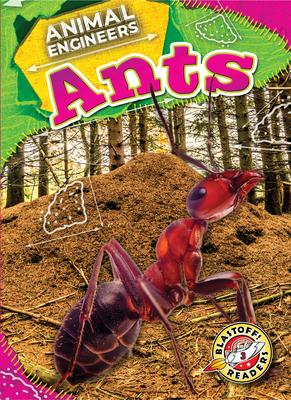 Ants