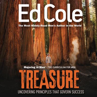 Treasure Workbook: Uncovering Principles That Govern Success