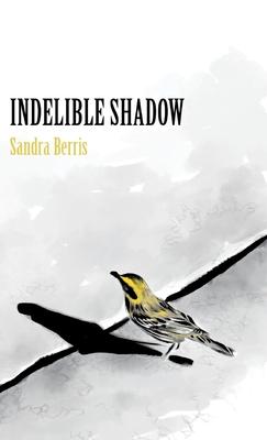 Indelible Shadow