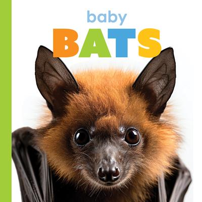 Baby Bats Subscription