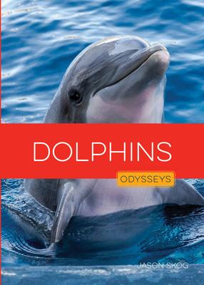 Dolphins Subscription