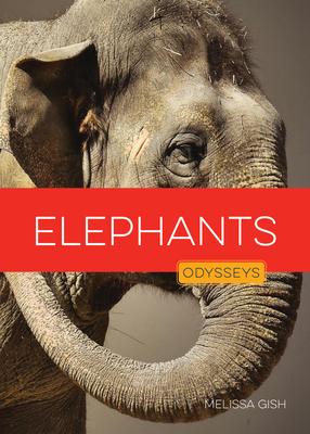 Elephants Subscription