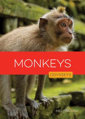 Monkeys Subscription