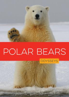 Polar Bears Subscription