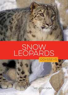 Snow Leopards