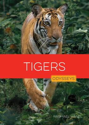 Tigers Subscription