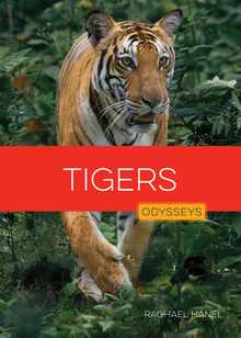 Tigers