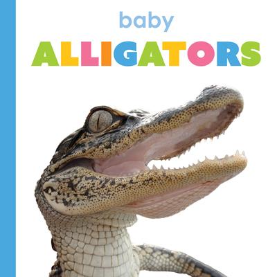 Baby Alligators Subscription