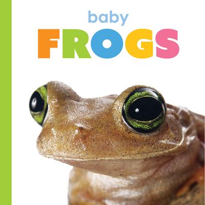 Baby Frogs Subscription