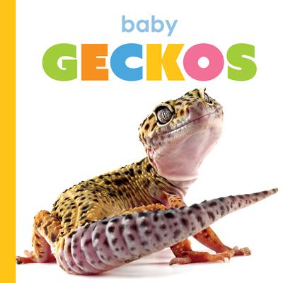 Baby Geckos Subscription