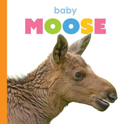 Baby Moose Subscription