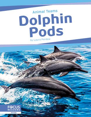 Dolphin Pods