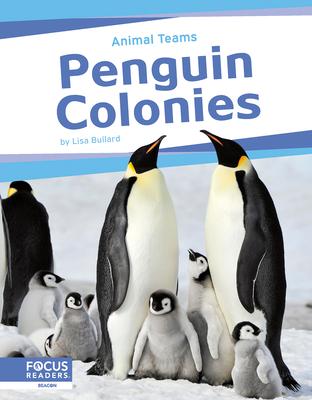 Penguin Colonies