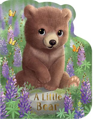 A Little Bear Subscription