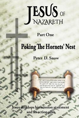 Jesus of Nazareth: Poking the Hornets' Nest: Jesus Develops His Mission Statement and an Action Plan