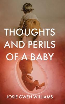 Thoughts and Perils of a Baby