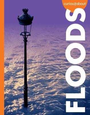 Curious about Floods Subscription