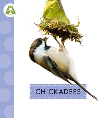 Chickadees Subscription