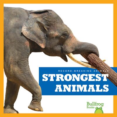 Strongest Animals