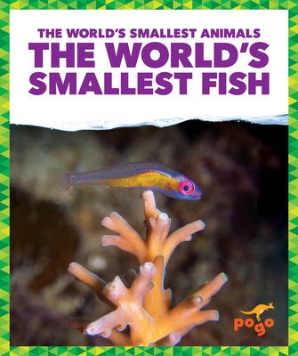 The World's Smallest Fish