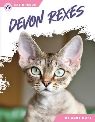 Devon Rexes