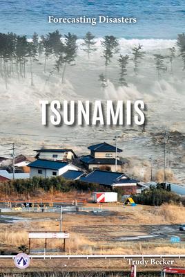 Tsunamis Subscription