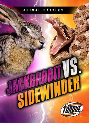 Jackrabbit vs. Sidewinder