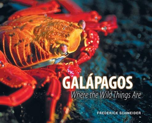 Galpagos: Where the Wild Things Are