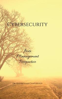 Cybersecurity: from Management Perspective