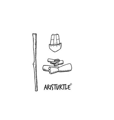 Aristurtle